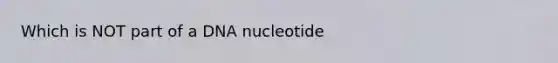 Which is NOT part of a DNA nucleotide