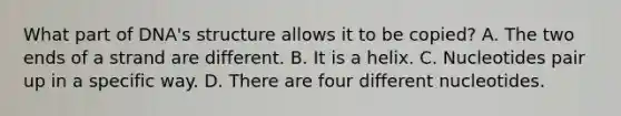 What part of DNA's structure allows it to be copied? A. The two ends of a strand are different. B. It is a helix. C. Nucleotides pair up in a specific way. D. There are four different nucleotides.