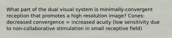 What part of the dual visual system is minimally-convergent reception that promotes a high resolution image? Cones: decreased convergence = increased acuity (low sensitivity due to non-collaborative stimulation in small receptive field)