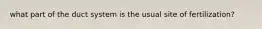 what part of the duct system is the usual site of fertilization?