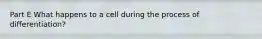 Part E What happens to a cell during the process of differentiation?