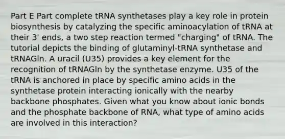 Part E Part complete tRNA synthetases play a key role in protein biosynthesis by catalyzing the specific aminoacylation of tRNA at their 3' ends, a two step reaction termed "charging" of tRNA. The tutorial depicts the binding of glutaminyl-tRNA synthetase and tRNAGln. A uracil (U35) provides a key element for the recognition of tRNAGln by the synthetase enzyme. U35 of the tRNA is anchored in place by specific amino acids in the synthetase protein interacting ionically with the nearby backbone phosphates. Given what you know about ionic bonds and the phosphate backbone of RNA, what type of amino acids are involved in this interaction?