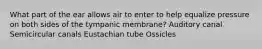 What part of the ear allows air to enter to help equalize pressure on both sides of the tympanic membrane? Auditory canal Semicircular canals Eustachian tube Ossicles