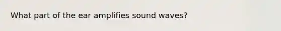 What part of the ear amplifies sound waves?