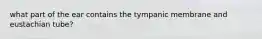 what part of the ear contains the tympanic membrane and eustachian tube?