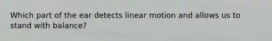 Which part of the ear detects linear motion and allows us to stand with balance?