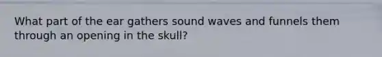 What part of the ear gathers sound waves and funnels them through an opening in the skull?