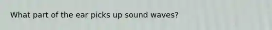 What part of the ear picks up sound waves?