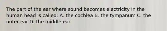 The part of the ear where sound becomes electricity in the human head is called: A. the cochlea B. the tympanum C. the outer ear D. the middle ear