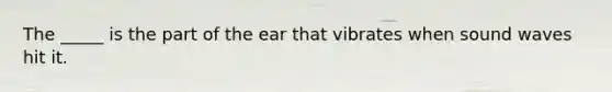 The _____ is the part of the ear that vibrates when sound waves hit it.