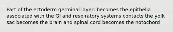 Part of the ectoderm germinal layer: becomes the epithelia associated with the GI and respiratory systems contacts the yolk sac becomes the brain and spinal cord becomes the notochord