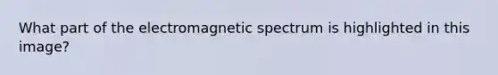 What part of the electromagnetic spectrum is highlighted in this image?