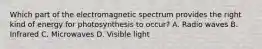 Which part of the electromagnetic spectrum provides the right kind of energy for photosynthesis to occur? A. Radio waves B. Infrared C. Microwaves D. Visible light