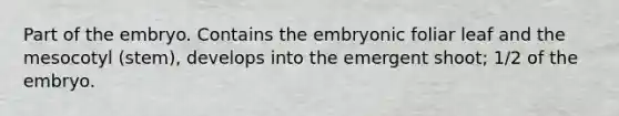 Part of the embryo. Contains the embryonic foliar leaf and the mesocotyl (stem), develops into the emergent shoot; 1/2 of the embryo.