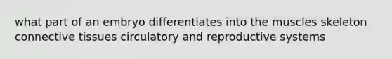 what part of an embryo differentiates into the muscles skeleton connective tissues circulatory and reproductive systems