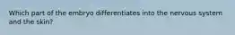 Which part of the embryo differentiates into the nervous system and the skin?