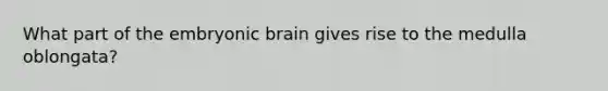 What part of the embryonic brain gives rise to the medulla oblongata?