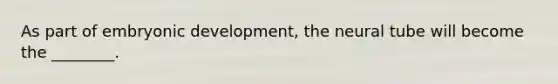 As part of embryonic development, the neural tube will become the ________.
