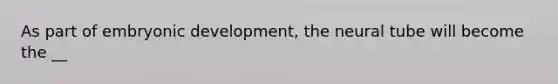 As part of embryonic development, the neural tube will become the __