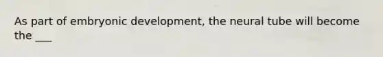 As part of embryonic development, the neural tube will become the ___