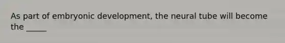 As part of embryonic development, the neural tube will become the _____