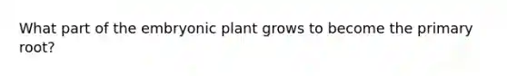 What part of the embryonic plant grows to become the primary root?