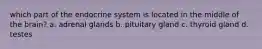 which part of the endocrine system is located in the middle of the brain? a. adrenal glands b. pituitary gland c. thyroid gland d. testes