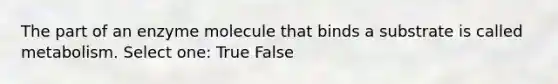 The part of an enzyme molecule that binds a substrate is called metabolism. Select one: True False