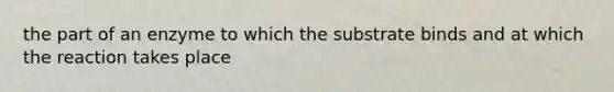 the part of an enzyme to which the substrate binds and at which the reaction takes place