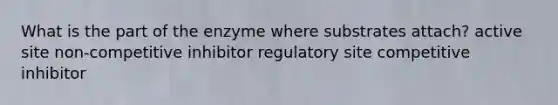 What is the part of the enzyme where substrates attach? active site non-competitive inhibitor regulatory site competitive inhibitor