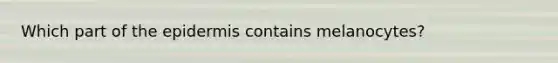 Which part of the epidermis contains melanocytes?