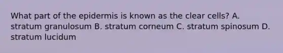 What part of the epidermis is known as the clear cells? A. stratum granulosum B. stratum corneum C. stratum spinosum D. stratum lucidum