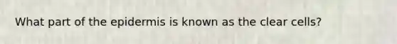 What part of the epidermis is known as the clear cells?