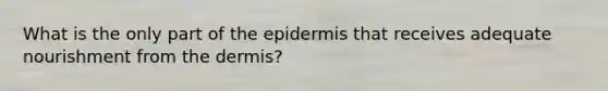 What is the only part of the epidermis that receives adequate nourishment from the dermis?