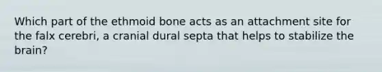 Which part of the ethmoid bone acts as an attachment site for the falx cerebri, a cranial dural septa that helps to stabilize the brain?