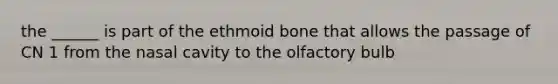 the ______ is part of the ethmoid bone that allows the passage of CN 1 from the nasal cavity to the olfactory bulb