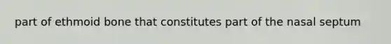 part of ethmoid bone that constitutes part of the nasal septum