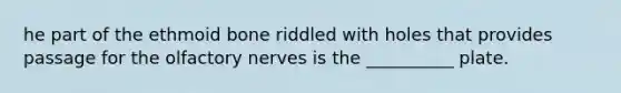 he part of the ethmoid bone riddled with holes that provides passage for the olfactory nerves is the __________ plate.