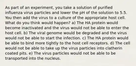 As part of an experiment, you take a solution of purified influenza virus particles and lower the pH of the solution to 5.5. You then add the virus to a culture of the appropriate host cell. What do you think would happen? a) The HA protein would become inactivated and the virus would not be able to enter the host cell. b) The viral genome would be degraded and the virus would not be able to start the infection. c) The HA protein would be able to bind more tightly to the host cell receptors. d) The cell would not be able to take up the virus particles into clatherin coated pits. e) The virus particles would not be able to be transported into the nucleus.