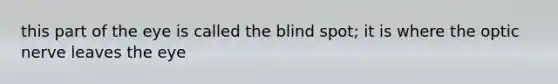 this part of the eye is called the blind spot; it is where the optic nerve leaves the eye