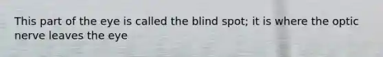 This part of the eye is called the blind spot; it is where the optic nerve leaves the eye