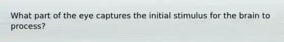 What part of the eye captures the initial stimulus for the brain to process?