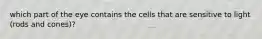 which part of the eye contains the cells that are sensitive to light (rods and cones)?