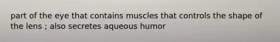 part of the eye that contains muscles that controls the shape of the lens ; also secretes aqueous humor