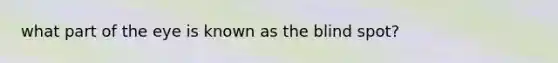 what part of the eye is known as the blind spot?