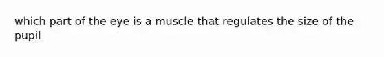 which part of the eye is a muscle that regulates the size of the pupil