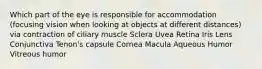 Which part of the eye is responsible for accommodation (focusing vision when looking at objects at different distances) via contraction of ciliary muscle Sclera Uvea Retina Iris Lens Conjunctiva Tenon's capsule Cornea Macula Aqueous Humor Vitreous humor