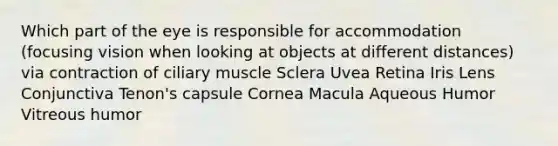 Which part of the eye is responsible for accommodation (focusing vision when looking at objects at different distances) via contraction of ciliary muscle Sclera Uvea Retina Iris Lens Conjunctiva Tenon's capsule Cornea Macula Aqueous Humor Vitreous humor