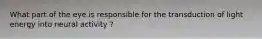 What part of the eye is responsible for the transduction of light energy into neural activity ?