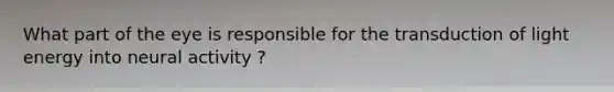 What part of the eye is responsible for the transduction of light energy into neural activity ?